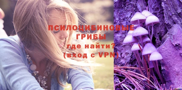 дживик Алексеевка