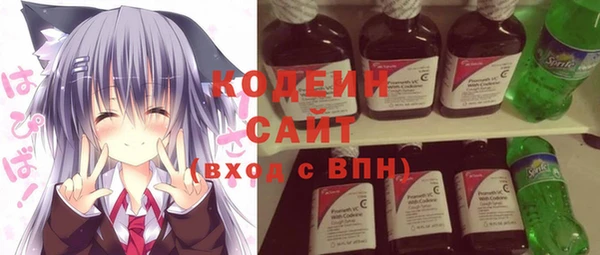 дурь Арсеньев